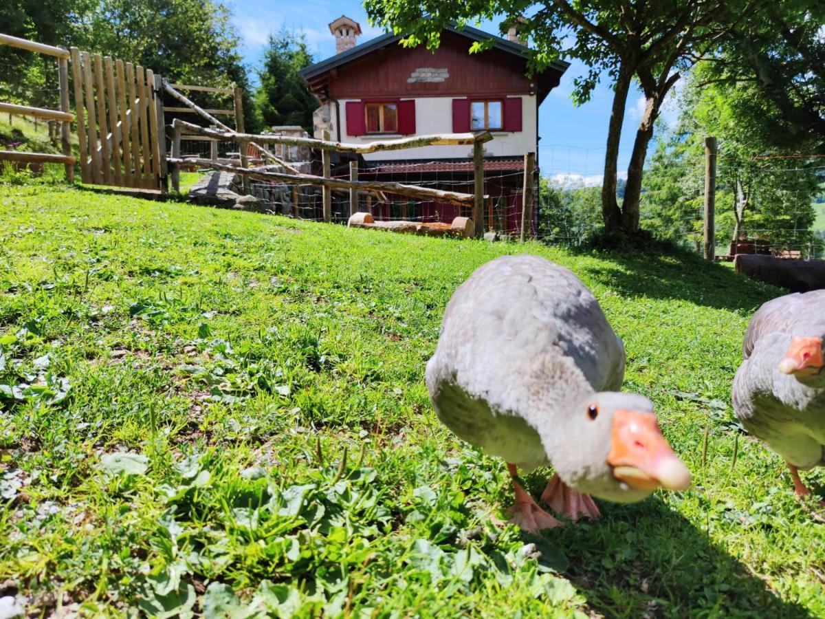 B&B Le Petit Vent Sormano Exterior foto
